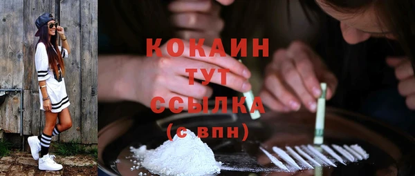 сатива Покачи