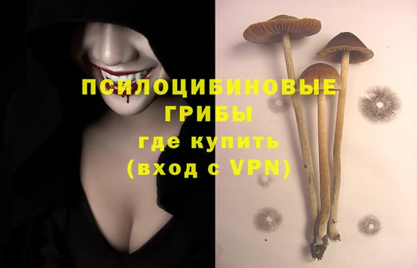 PSILOCYBIN Балабаново