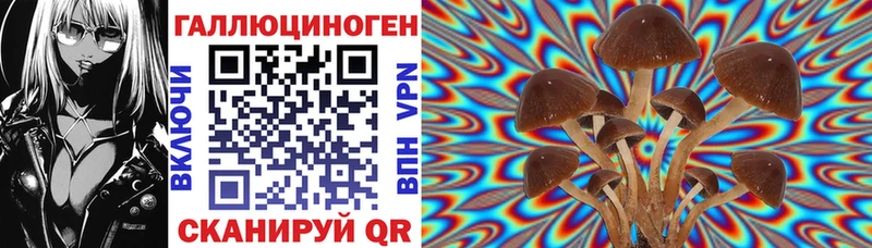 блэк спрут ТОР  Верхняя Пышма  Псилоцибиновые грибы прущие грибы 